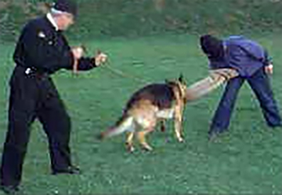 About Assured Security